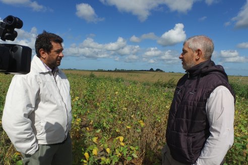 Soja en Rincon del Doll - Dpto Victoria - Recorrida junto al Ing. Esteban Merini