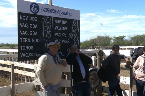 Feria Maria Dolores - Remate Especial 53° Aniversario - Etchevehere Rural Consignataria en Gral Ramirez