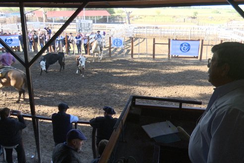 Feria Maria Dolores - Remate Especial 53° Aniversario - Etchevehere Rural Consignataria en Gral Ramirez