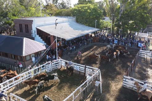 Feria Maria Dolores - Remate Especial 53° Aniversario - Etchevehere Rural Consignataria en Gral Ramirez