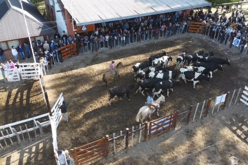 Feria Maria Dolores - Remate Especial 53° Aniversario - Etchevehere Rural Consignataria en Gral Ramirez