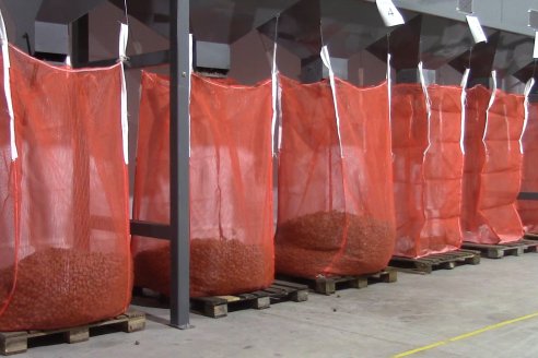 1° Encuentro de Productores Pecaneros de LAR - 