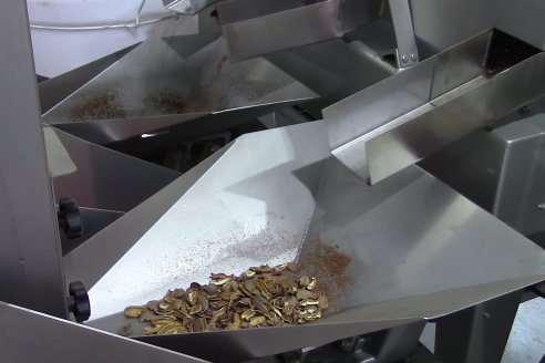 1° Encuentro de Productores Pecaneros de LAR - 