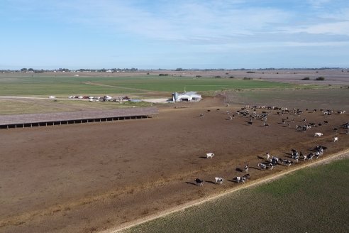 Presentación y Jornada Dinámica en Estación Camps- Weinbaur S.A. - Estercolera Omar Martin M10000L