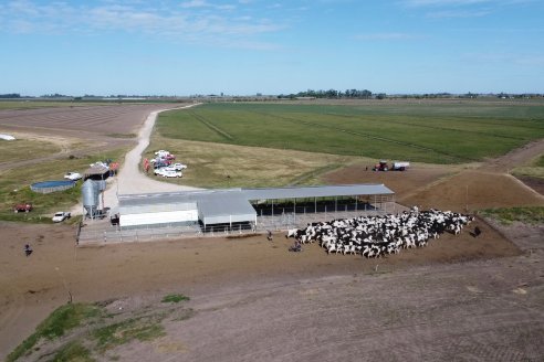 Presentación y Jornada Dinámica en Estación Camps- Weinbaur S.A. - Estercolera Omar Martin M10000L