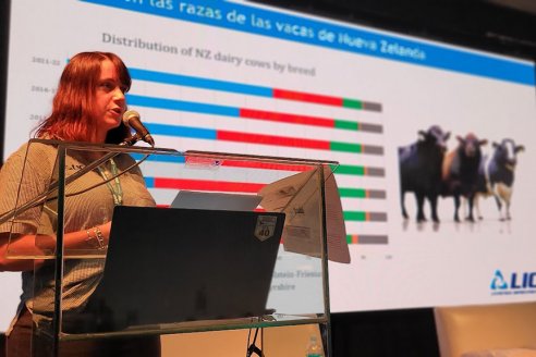 ¿Qué es lo más relevante de la genética en el tambo?