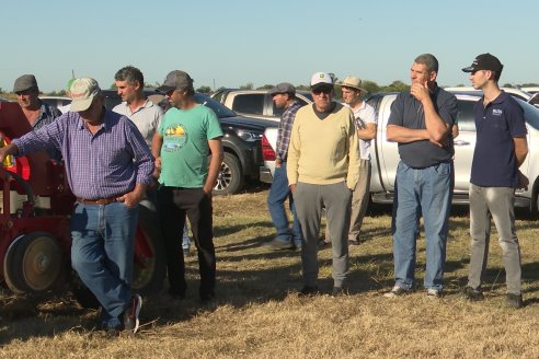 Presentación Sembradora Gherardi G 900 Air Planter - Brondi Maquinarias - Campo Flia. Broder - Distrito Tala, E.Ríos