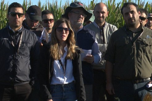 Recorrida y Demostración Ensayo Comparativo de Rendimiento de Maíz Tardío del CIAV