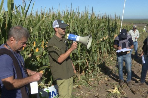 Recorrida y Demostración Ensayo Comparativo de Rendimiento de Maíz Tardío del CIAV