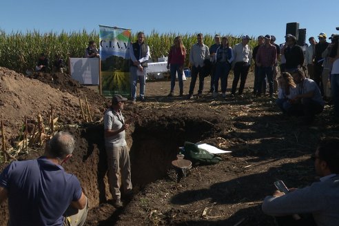 Recorrida y Demostración Ensayo Comparativo de Rendimiento de Maíz Tardío del CIAV