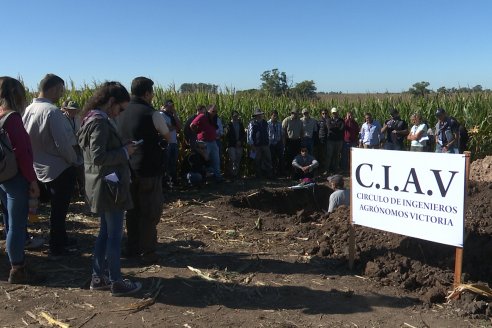 Recorrida y Demostración Ensayo Comparativo de Rendimiento de Maíz Tardío del CIAV