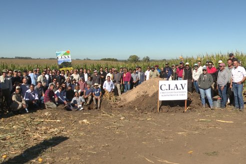 Recorrida y Demostración Ensayo Comparativo de Rendimiento de Maíz Tardío del CIAV