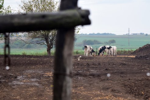 Con marcas de 105 milímetros, las lluvias le ponen brillo a Entre Ríos