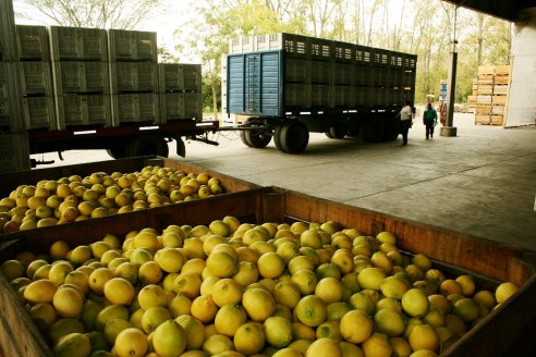 Enero también golpeó duro a los camioneros de cargas rurales