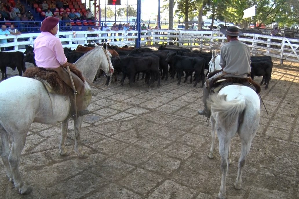 Poco más de 1.000 cabezas se comercializaron en el predio de la Rural.