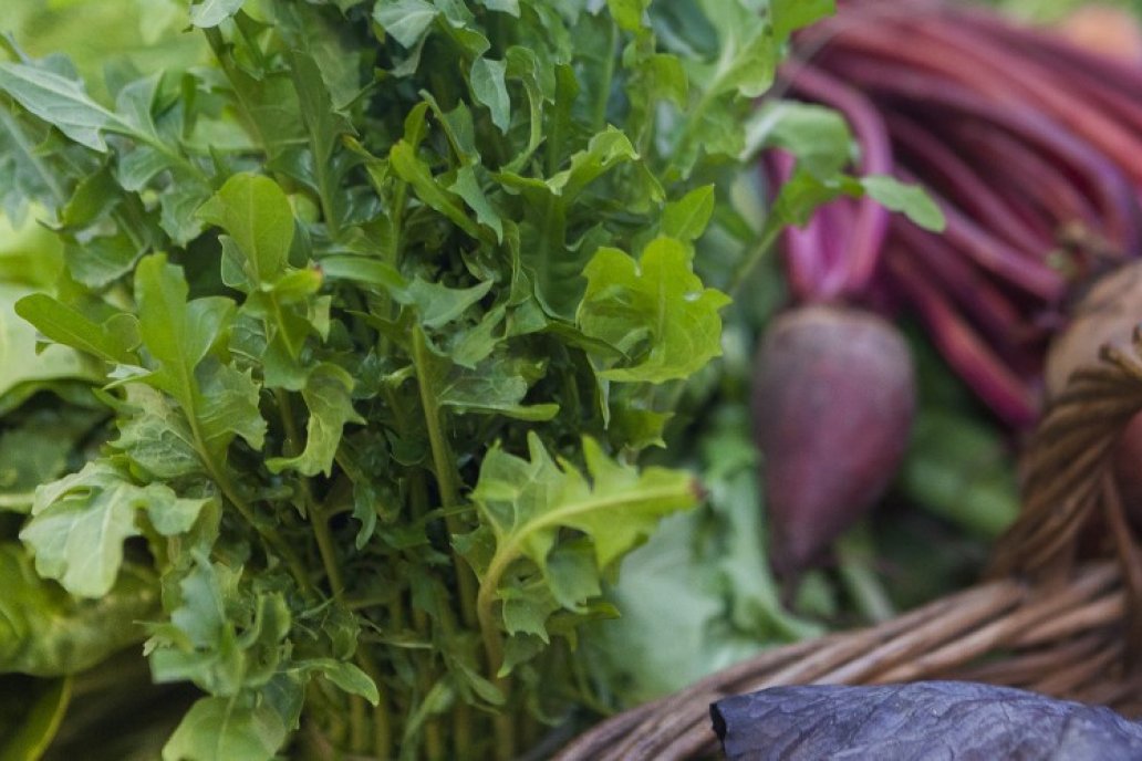 El segmento alimentario es el de mejor desempeño con una suba del 4,4% El segmento alimentario es el de mejor desempeño con una suba del 4,4%