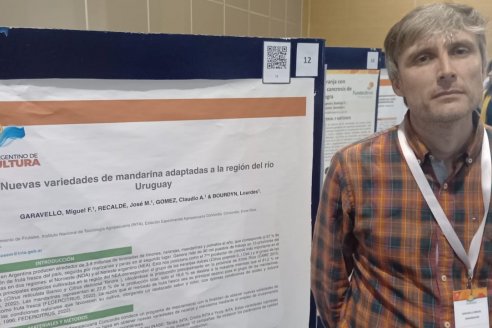 Miguel Garavello: "Desarrollar una nueva variedad de citrus demanda hasta 15 años de investigación"