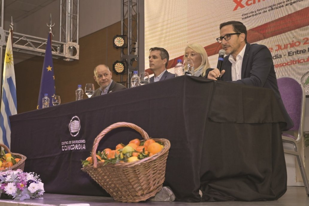 Sabella, Cresto, Pérez y Amavet al abordar la cadena de valor como eje regional