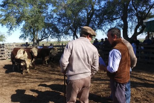 III Jura de la Prueba Pastoril Hereford Mesopotámica - EEA INTA C.del Uruguay