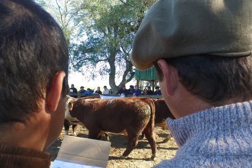 III Jura de la Prueba Pastoril Hereford Mesopotámica - EEA INTA C.del Uruguay