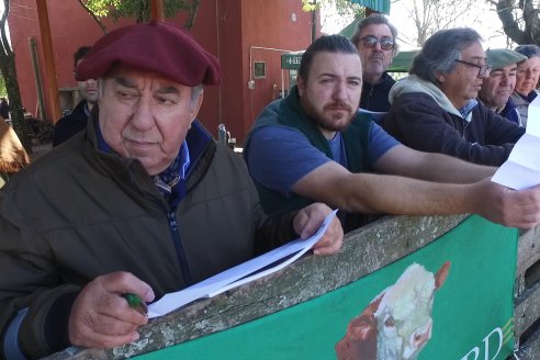 III Jura de la Prueba Pastoril Hereford Mesopotámica - EEA INTA C.del Uruguay