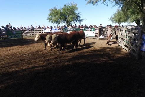 III Jura de la Prueba Pastoril Hereford Mesopotámica - EEA INTA C.del Uruguay