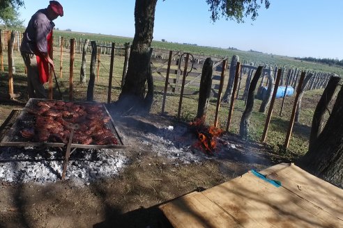 III Jura de la Prueba Pastoril Hereford Mesopotámica - EEA INTA C.del Uruguay