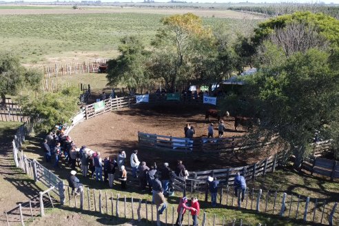 III Jura de la Prueba Pastoril Hereford Mesopotámica - EEA INTA C.del Uruguay