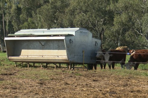 Vista al FeedLot Ecológico - EEA INTA C.del Uruguay