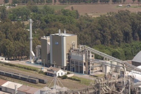 Aceiteros y molineros liquidan dólares pero advierten que la capacidad ociosa aún es muy alta
