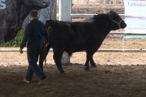 1° Jornada - Hacia una Excelencia Ganadera - Ganaderia de Precision - Sociedad Rural de Federal