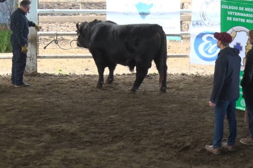 1° Jornada - Hacia una Excelencia Ganadera - Ganaderia de Precision - Sociedad Rural de Federal