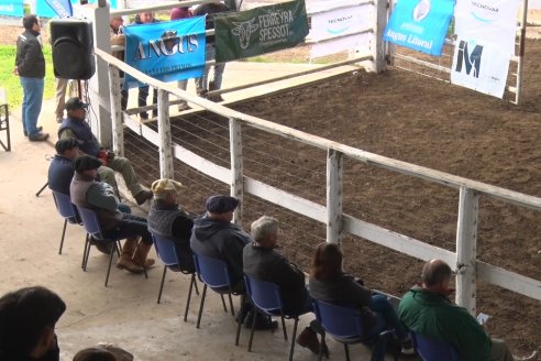 1° Jornada - Hacia una Excelencia Ganadera - Ganaderia de Precision - Sociedad Rural de Federal