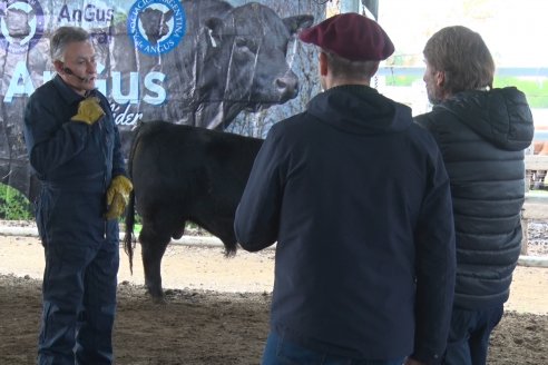 1° Jornada - Hacia una Excelencia Ganadera - Ganaderia de Precision - Sociedad Rural de Federal