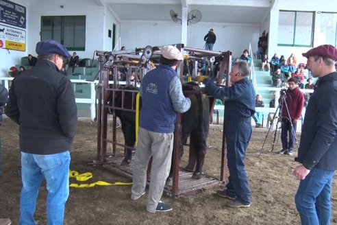 1° Jornada - Hacia una Excelencia Ganadera - Ganaderia de Precision - Sociedad Rural de Federal