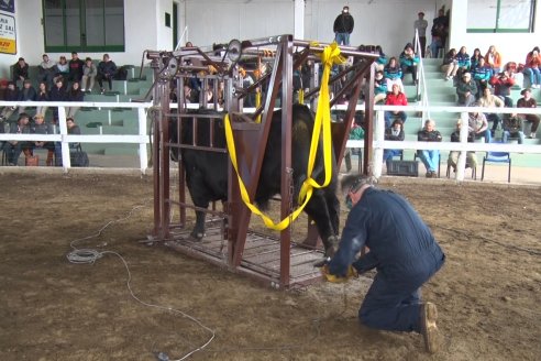 1° Jornada - Hacia una Excelencia Ganadera - Ganaderia de Precision - Sociedad Rural de Federal