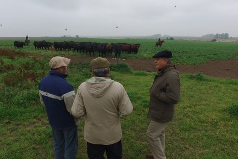 Día de Campo - Cabaña Coembotá, Angus de Calderon - Remate Anual 7 de Julio 2023