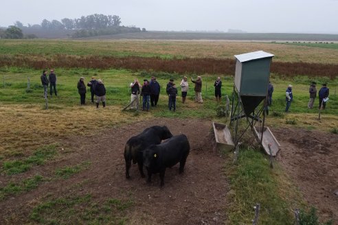 Día de Campo - Cabaña Coembotá, Angus de Calderon - Remate Anual 7 de Julio 2023