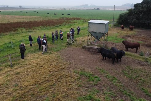 Día de Campo - Cabaña Coembotá, Angus de Calderon - Remate Anual 7 de Julio 2023