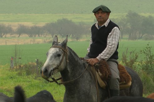 Día de Campo - Cabaña Coembotá, Angus de Calderon - Remate Anual 7 de Julio 2023