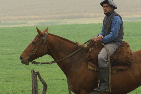 Día de Campo - Cabaña Coembotá, Angus de Calderon - Remate Anual 7 de Julio 2023