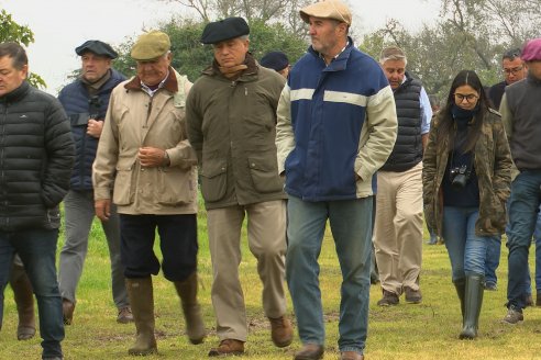 Día de Campo - Cabaña Coembotá, Angus de Calderon - Remate Anual 7 de Julio 2023