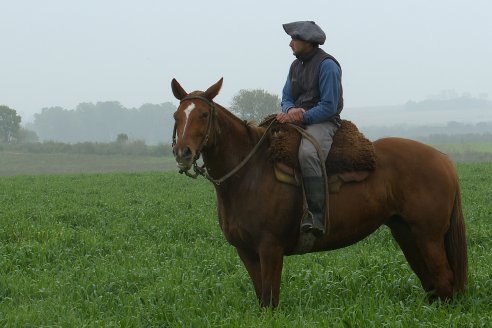 Día de Campo - Cabaña Coembotá, Angus de Calderon - Remate Anual 7 de Julio 2023