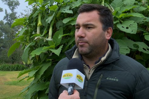 Día de Campo - Cabaña Coembotá, Angus de Calderon - Remate Anual 7 de Julio 2023