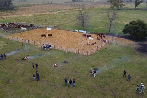 Dia a Campo Estancia Buena Esperanza - Los Conquistadores, E.Ríos - Remate 6 de Julio 2023