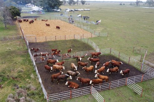 Dia a Campo Estancia Buena Esperanza - Los Conquistadores, E.Ríos - Remate 6 de Julio 2023