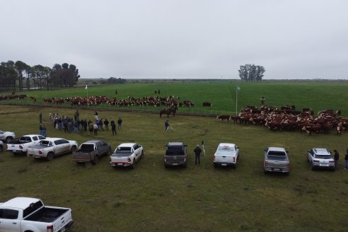 Dia a Campo Estancia Buena Esperanza - Los Conquistadores, E.Ríos - Remate 6 de Julio 2023