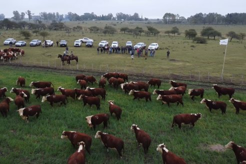 Dia a Campo Estancia Buena Esperanza - Los Conquistadores, E.Ríos - Remate 6 de Julio 2023