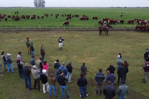 Dia a Campo Estancia Buena Esperanza - Los Conquistadores, E.Ríos - Remate 6 de Julio 2023