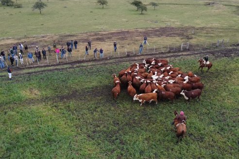 Dia a Campo Estancia Buena Esperanza - Los Conquistadores, E.Ríos - Remate 6 de Julio 2023